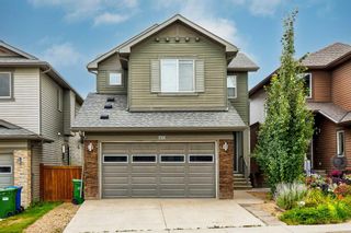 Main Photo: 196 Evansborough Way NW in Calgary: Evanston Detached for sale : MLS®# A2081935