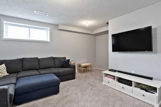 Photo 26: 238 Cranford Park SE in Calgary: Cranston Semi Detached (Half Duplex) for sale : MLS®# A2127820