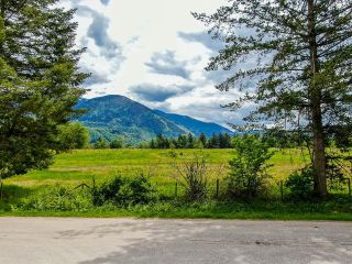 Photo 30: 785 IVERSON Road in Chilliwack: Columbia Valley Agri-Business for sale (Cultus Lake)  : MLS®# C8044716