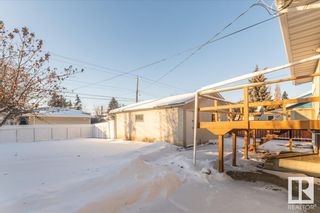 Photo 16: 9002 168 Street NW in Edmonton: Zone 22 House for sale : MLS®# E4321929