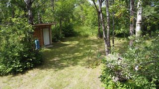 Photo 5: 11045 28.5E Road in Roseau River: Vacant Land for sale : MLS®# 202320739