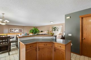 Photo 8: 137 Bridlewood Crescent SW in Calgary: Bridlewood Detached for sale : MLS®# A2064801