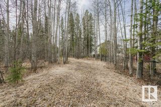 Photo 13: 22 Lakeshore Drive: Rural Wetaskiwin County Vacant Lot/Land for sale : MLS®# E4330516