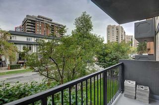 Photo 18: 203 1015 14 Avenue SW in Calgary: Beltline Apartment for sale : MLS®# A2081680