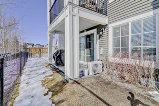 Photo 18: 4109 99 Copperstone Park SE in Calgary: Copperfield Apartment for sale : MLS®# A2034723