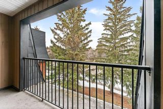 Photo 6: 3307 4001C 49 Street NW in Calgary: Varsity Apartment for sale : MLS®# A2119797