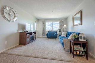 Photo 13: 2309 181 Skyview Ranch Manor NE in Calgary: Skyview Ranch Apartment for sale : MLS®# A2137963