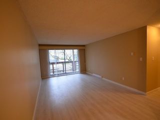 Photo 12: 202 45 FOURTH Street in New Westminster: Downtown NW Condo for sale : MLS®# R2856036