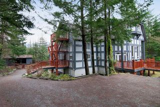 Photo 19: 40402 SKYLINE Drive in Squamish: Garibaldi Highlands House for sale : MLS®# V959450