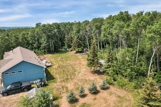 Photo 43: 46 454072 RGE RD 11: Rural Wetaskiwin County House for sale : MLS®# E4343368