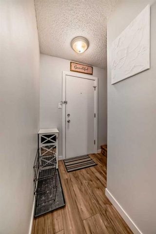 Photo 31: 2 645 Meredith Road NE in Calgary: Bridgeland/Riverside Apartment for sale : MLS®# A2130538