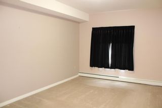 Photo 12: 311 4403A 67A Avenue: Olds Apartment for sale : MLS®# A2013577