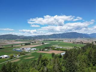Photo 8: 39730 OLD YALE Road in Abbotsford: Sumas Prairie Land for sale : MLS®# R2877038