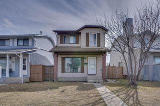 Main Photo: 192 Castlegreen Close NE in Calgary: Castleridge Detached for sale : MLS®# A2126596