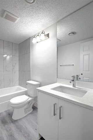Photo 39: 80 Martinbrook Road NE in Calgary: Martindale Detached for sale : MLS®# A1162744