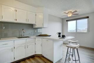 Photo 11: 258 Maunsell Close NE in Calgary: Mayland Heights Semi Detached for sale : MLS®# A1061854