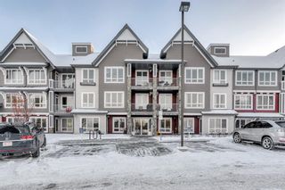 Main Photo: 2102 175 Silverado Boulevard SW in Calgary: Silverado Apartment for sale : MLS®# A2022454
