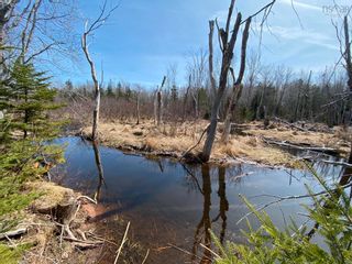 Photo 9: Lot 21 Lakeside Drive in Little Harbour: 108-Rural Pictou County Vacant Land for sale (Northern Region)  : MLS®# 202207907