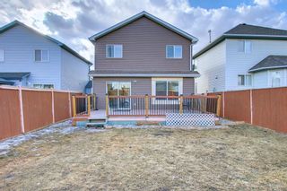 Photo 36: 30 Martin Crossing Way NE in Calgary: Martindale Detached for sale : MLS®# A1195474