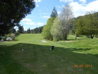 Photo 6: Lot 28 Vickers Trail in Anglemont: North Shuswap Land Only for sale (Shuswap)  : MLS®# 10093853