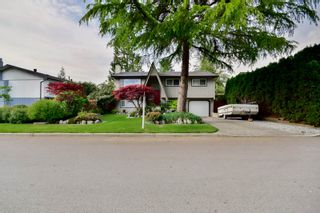 Photo 8: 20801 MCFARLANE Avenue in Maple Ridge: Southwest Maple Ridge House for sale : MLS®# R2065058