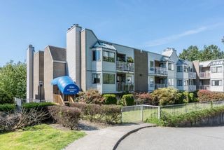 Main Photo: 301 9584 MANCHESTER Drive in Burnaby: Cariboo Condo for sale (Burnaby North)  : MLS®# R2871104