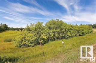 Photo 8: 54418 RGE RD 251: Rural Sturgeon County Vacant Lot/Land for sale : MLS®# E4392671