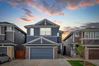 Main Photo: 15 Red Embers Terrace NE in Calgary: Redstone Detached for sale : MLS®# A2133316