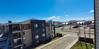 Photo 43: 401 7130 80 Avenue NE in Calgary: Saddle Ridge Apartment for sale : MLS®# A1215251