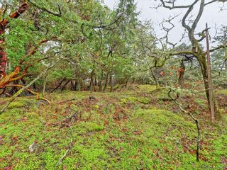 Photo 19: 3916 Benson Rd in VICTORIA: SE Ten Mile Point House for sale (Saanich East)  : MLS®# 819534
