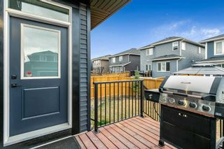 Photo 36: 41 Creekside Avenue SW in Calgary: C-168 Detached for sale : MLS®# A2124294