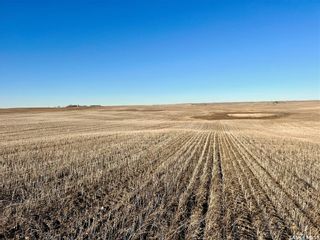 Photo 10: Harris 2,388 acres Grain Farmland in Marriott: Farm for sale (Marriott Rm No. 317)  : MLS®# SK956301