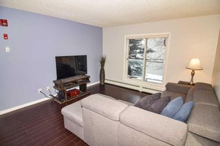 Photo 10: 209 290 Shawville Way SE in Calgary: Shawnessy Apartment for sale : MLS®# A2101153