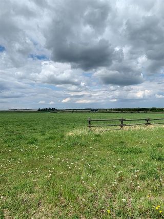 Photo 5: 62 ac Corner of Hwy 552 306 Ave West (Strathcona  School/Polo Club): Rural Foothills County Residential Land for sale : MLS®# A1227910