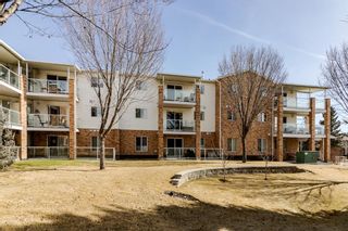 Photo 5: 427 165 Manora Place NE in Calgary: Marlborough Park Apartment for sale : MLS®# A1196284