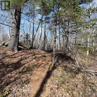 Photo 17: Lot 4 Port Medway Road in Port Medway: Vacant Land for sale : MLS®# 202307644