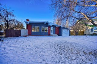 Photo 31: 135 Madeira Close NE Calgary Home For Sale