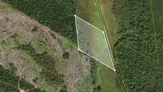 Photo 9: Lot New Albany in New Albany: Annapolis County Vacant Land for sale (Annapolis Valley)  : MLS®# 202219396