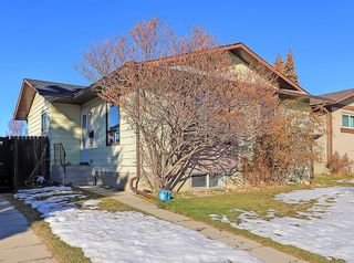Photo 30: 23 Bedford Road NE in Calgary: Beddington Heights Detached for sale : MLS®# A2013329