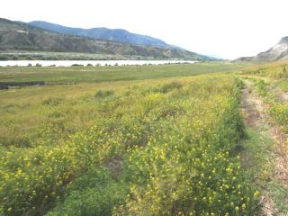 Photo 24: 2511 E SHUSWAP ROAD in : South Thompson Valley Lots/Acreage for sale (Kamloops)  : MLS®# 135236