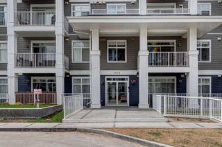Photo 28: 211 100 Auburn Meadows Common SE in Calgary: Auburn Bay Apartment for sale : MLS®# A2127220