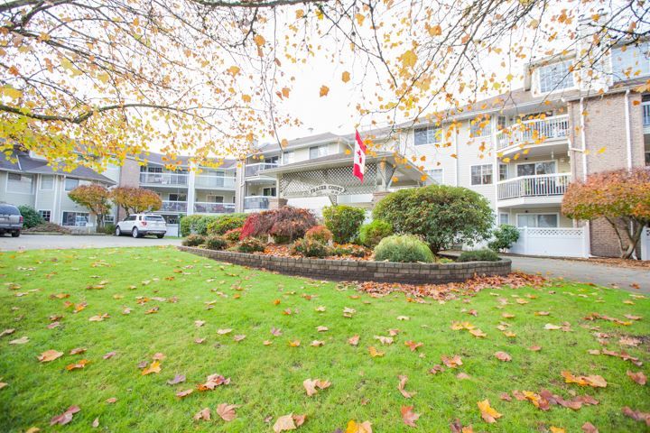 Main Photo: 311 22514 116 Avenue in Maple Ridge: East Central Condo for sale in "FRASER COURT" : MLS®# R2322303