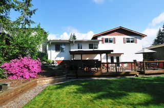 Photo 18: 22116 CANUCK Crescent in Maple Ridge: West Central House for sale : MLS®# R2061368