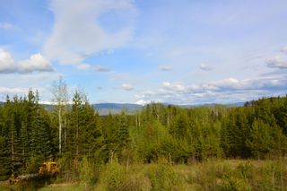 Photo 35: 9795 HORLINGS Road in Smithers: Smithers - Rural House for sale in "Silvern Estates" (Smithers And Area)  : MLS®# R2700198
