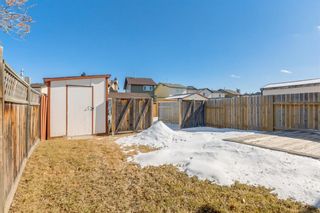 Photo 23: 4826 60 Street NE in Calgary: Temple Detached for sale : MLS®# A1191795
