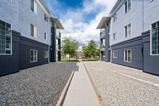 Photo 27: 4205 2280 68 Street NE in Calgary: Monterey Park Apartment for sale : MLS®# A1170129