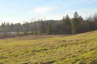 Photo 6: 30169 MARSHALL ROAD in Abbotsford: Abbotsford West Land for sale : MLS®# R2000064