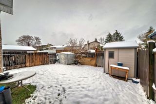 Photo 27: 1028 Mckinnon Drive NE in Calgary: Mayland Heights Detached for sale : MLS®# A2127341