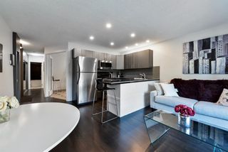 Photo 3: 203 912 19 Avenue SW in Calgary: Lower Mount Royal Apartment for sale : MLS®# A1251094