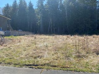 Photo 1: 6250 Hunt St in Port Hardy: NI Port Hardy Land for sale (North Island)  : MLS®# 913119